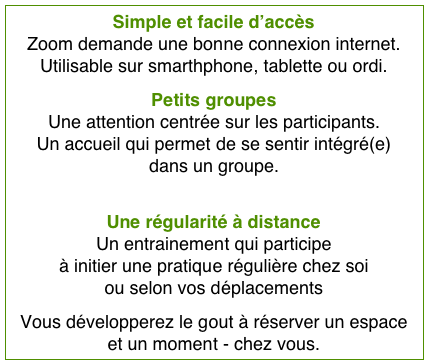 Simple et facile d’accès Zoom demande une bonne connexion internet.  Utilisable sur smarthphone, tablette ou ordi.
Petits groupes   Une attention centrée sur les participants. Un accueil qui permet de se sentir intégré(e)  dans un groupe. 
Une régularité à distance Un entrainement qui participe  à initier une pratique régulière chez soi  ou selon vos déplacements
Vous développerez le gout à réserver un espace  et un moment - chez vous.